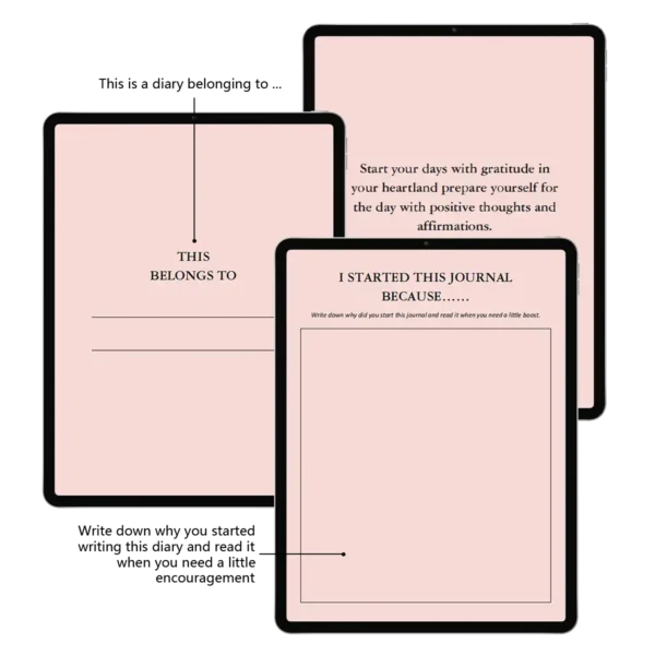 pink-daily-planner-hourly-gratitude-journal-goodnotes