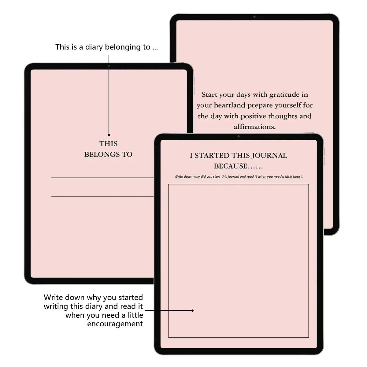 Pink Daily Planner Hourly Gratitude Journal GoodNotes Personalization Pages